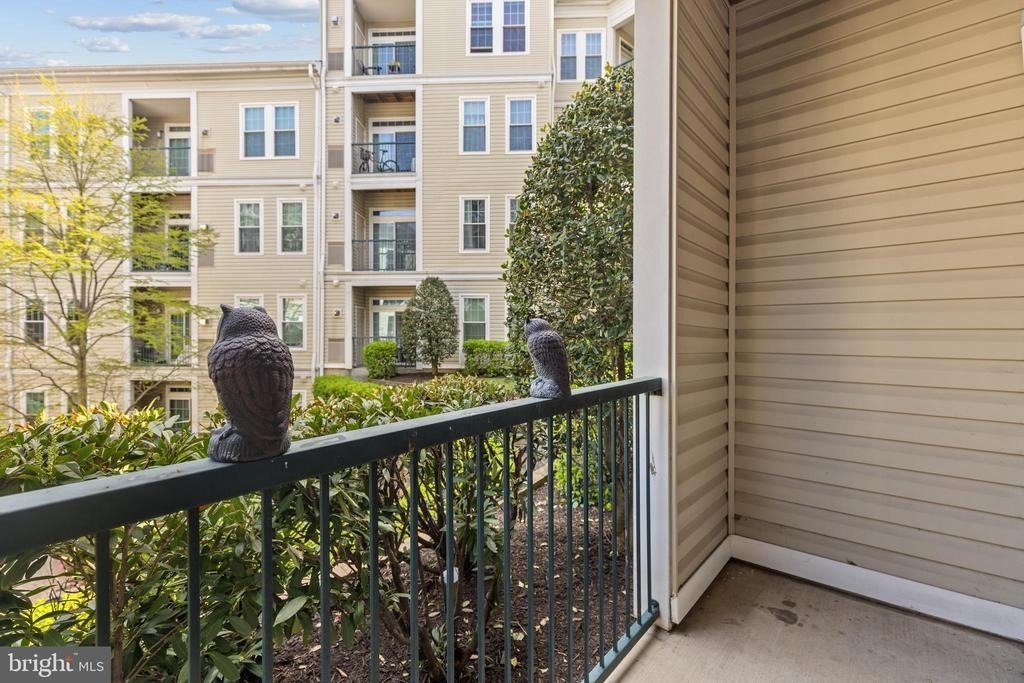 2465 Army Navy Drive - Photo 13
