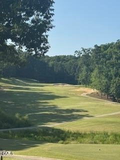 64 Mountain Laurel - Photo 32