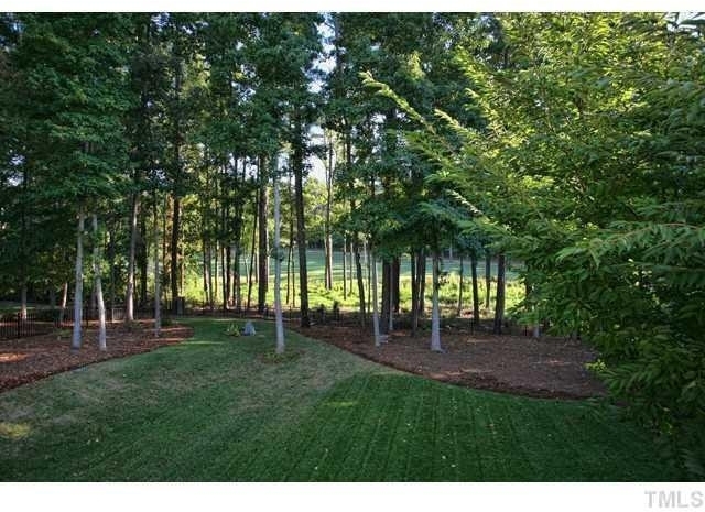 64 Mountain Laurel - Photo 22
