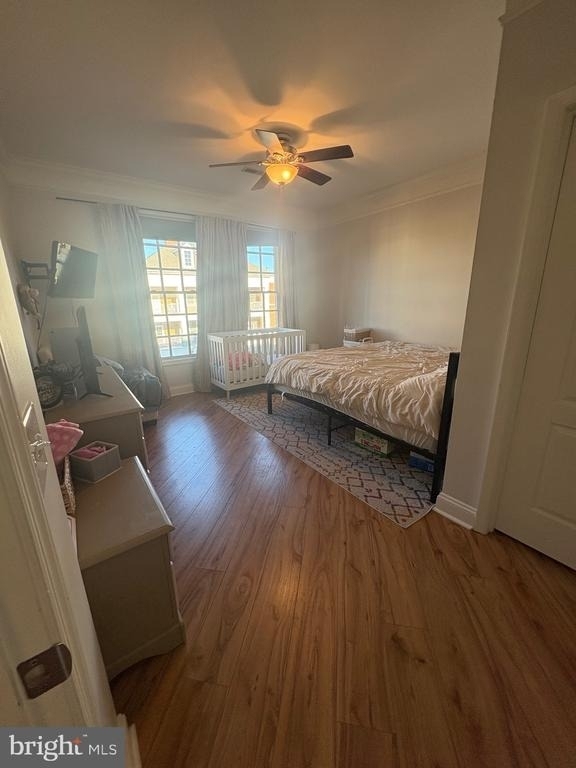 12001 Old Vine Boulevard - Photo 13