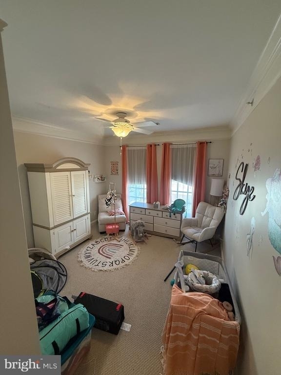 12001 Old Vine Boulevard - Photo 4