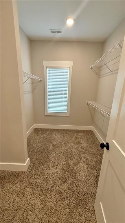 44 Sparkleberry Lane W - Photo 25