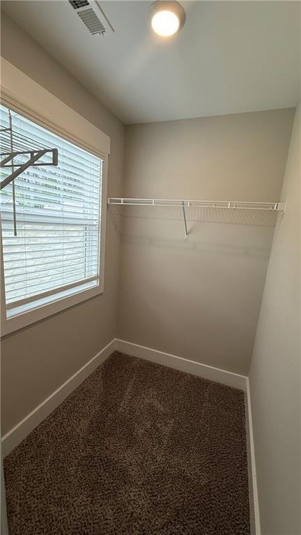 44 Sparkleberry Lane W - Photo 32