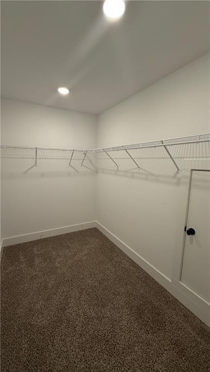 44 Sparkleberry Lane W - Photo 44