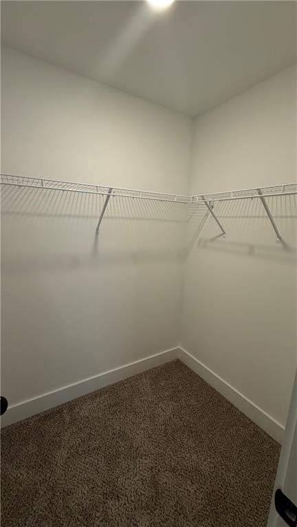 44 Sparkleberry Lane W - Photo 34