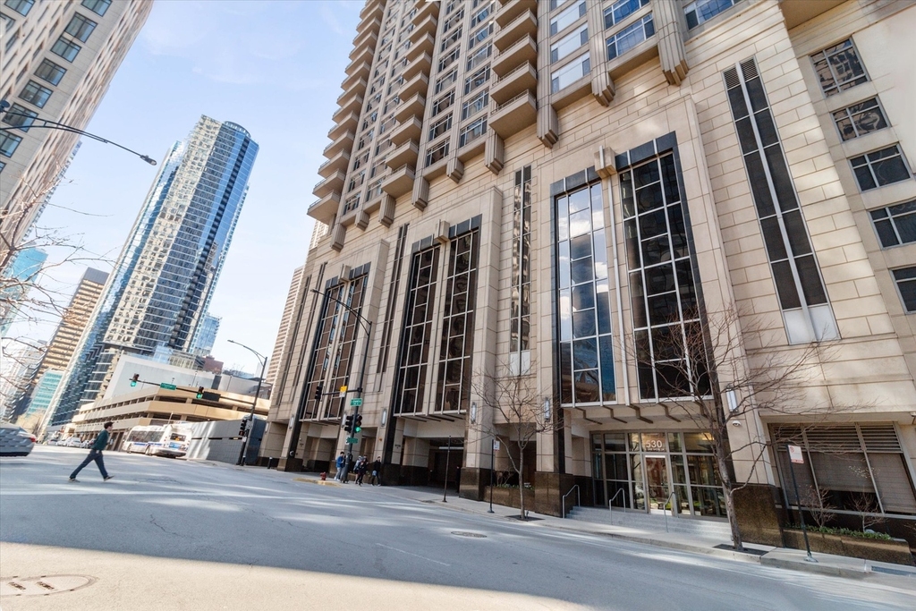 530 N Lake Shore Drive - Photo 0