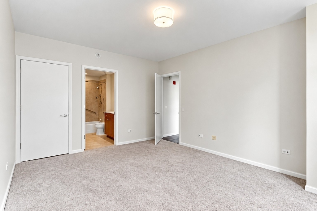 530 N Lake Shore Drive - Photo 37