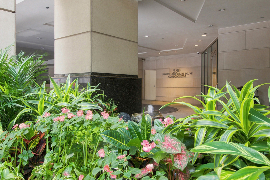 530 N Lake Shore Drive - Photo 9