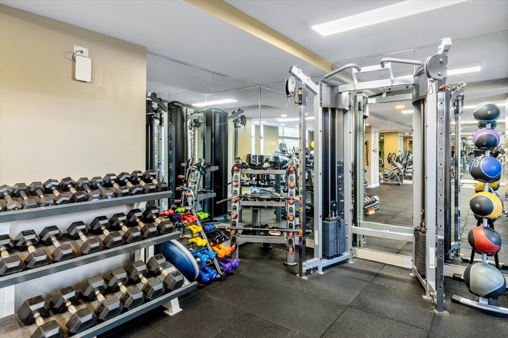 530 N Lake Shore Drive - Photo 4