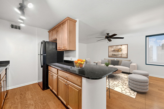 1339 N Dearborn Street - Photo 4