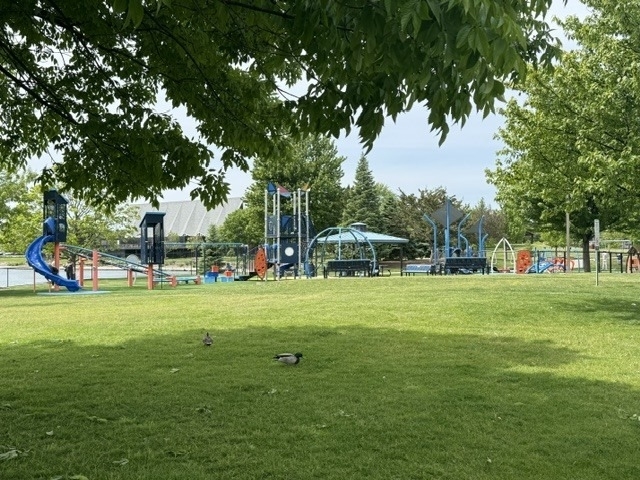 1000 E Touhy Avenue - Photo 18