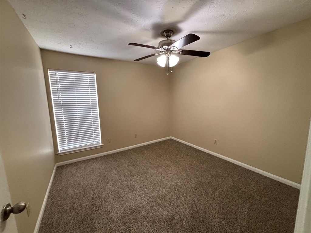 3416 Avenue P - Photo 13