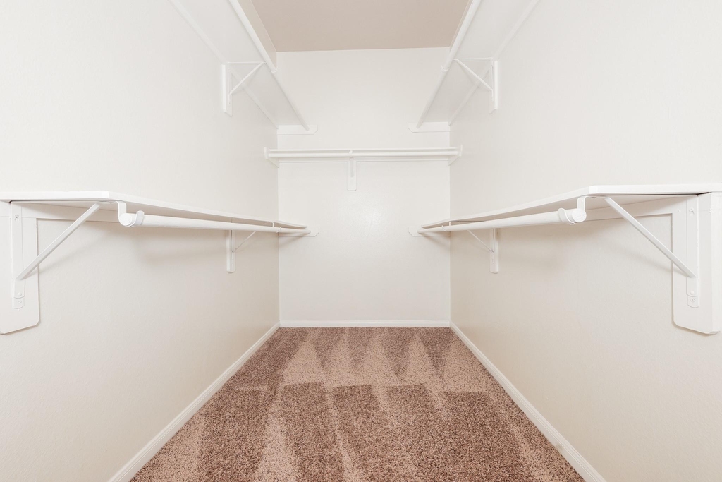 8114 Malago Point Drive - Photo 12
