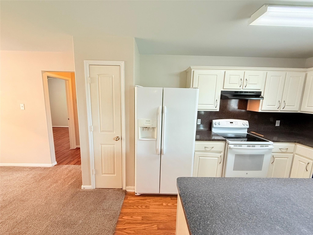 29019 San Jacinto River Ct - Photo 11