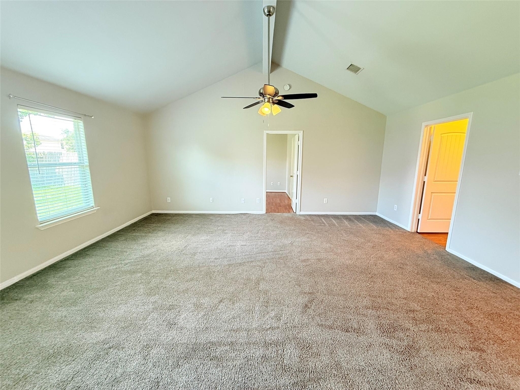 29019 San Jacinto River Ct - Photo 16