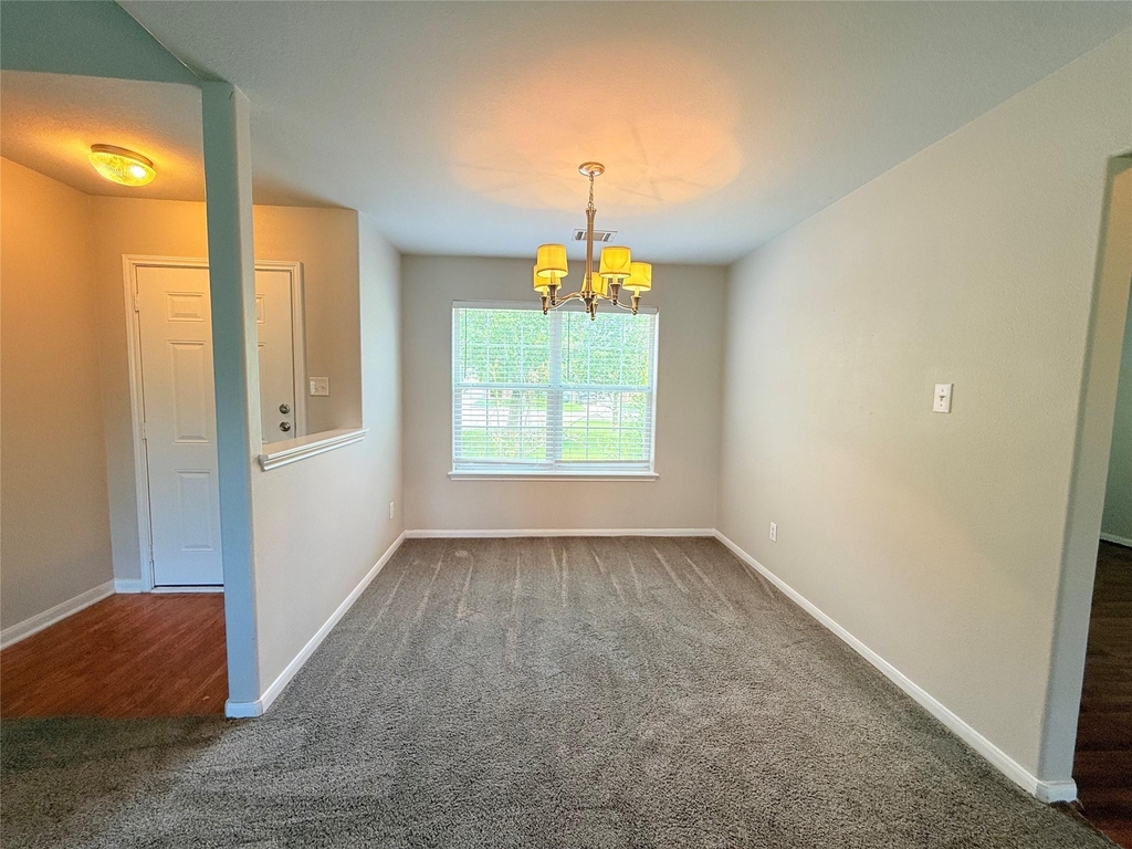 29019 San Jacinto River Ct - Photo 13