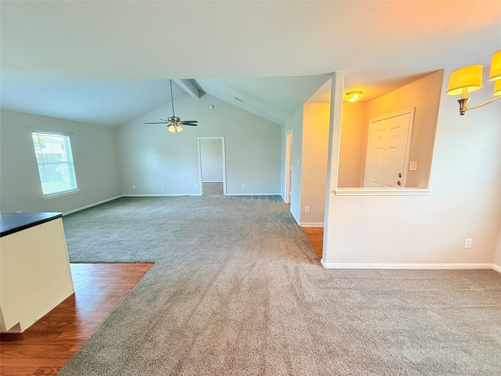 29019 San Jacinto River Ct - Photo 15