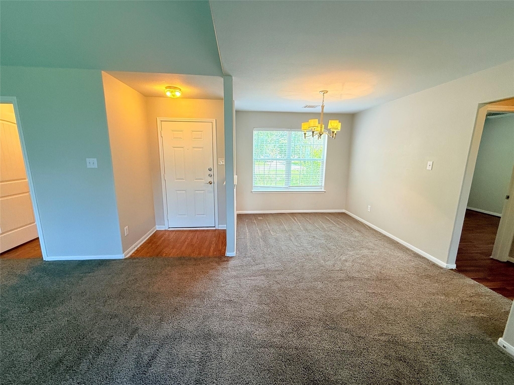 29019 San Jacinto River Ct - Photo 12
