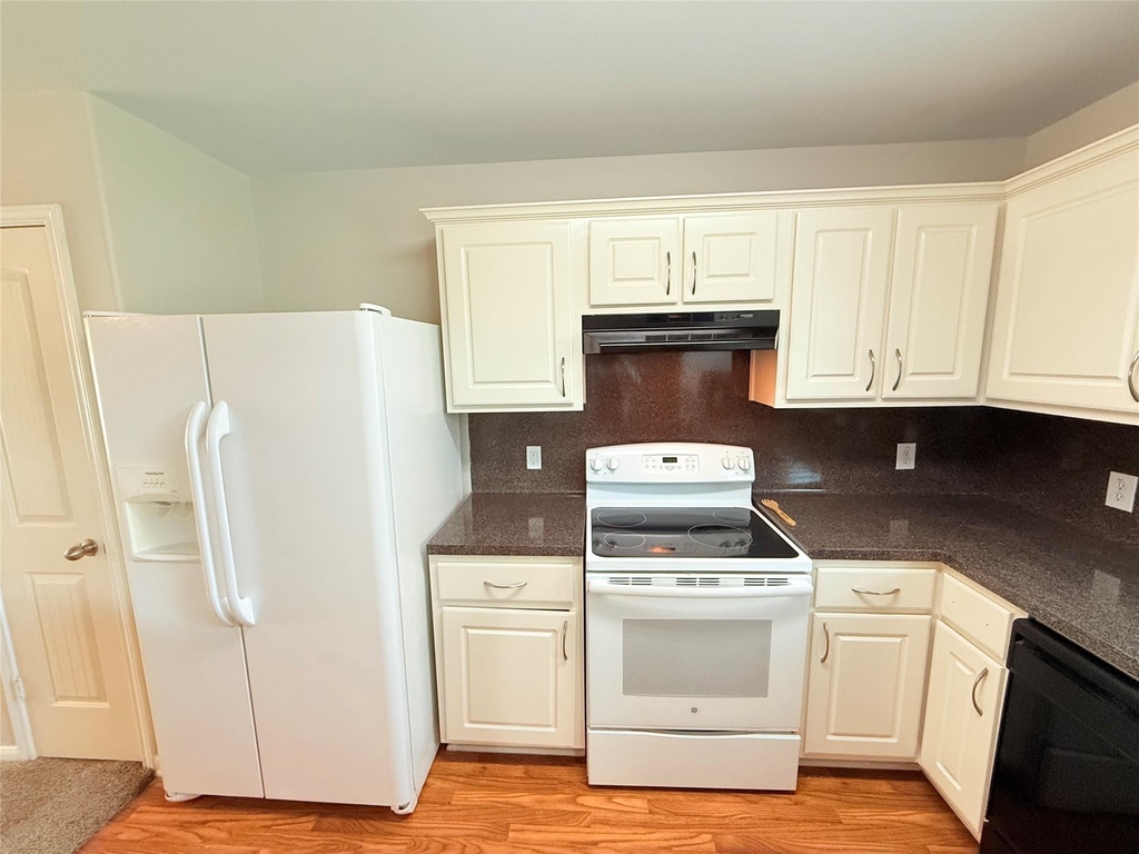 29019 San Jacinto River Ct - Photo 9