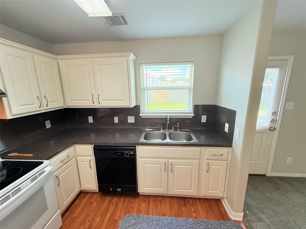 29019 San Jacinto River Ct - Photo 10