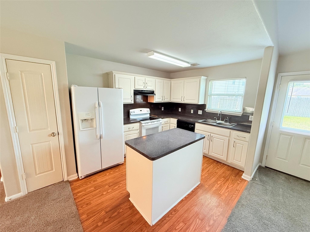 29019 San Jacinto River Ct - Photo 8