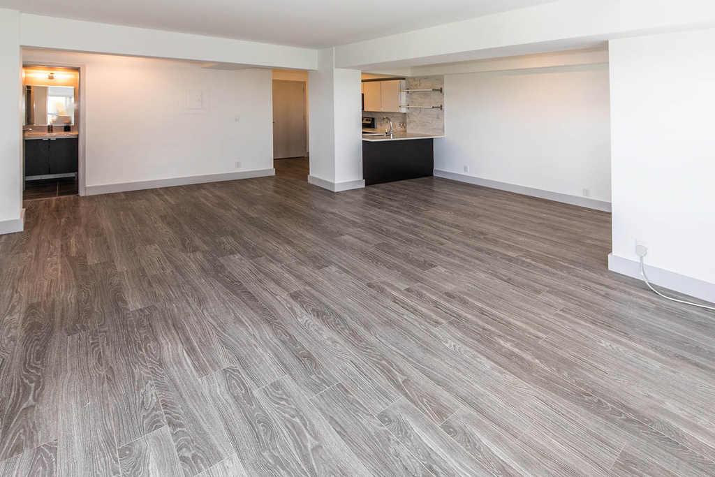 18 South Kingshighway - Photo 289