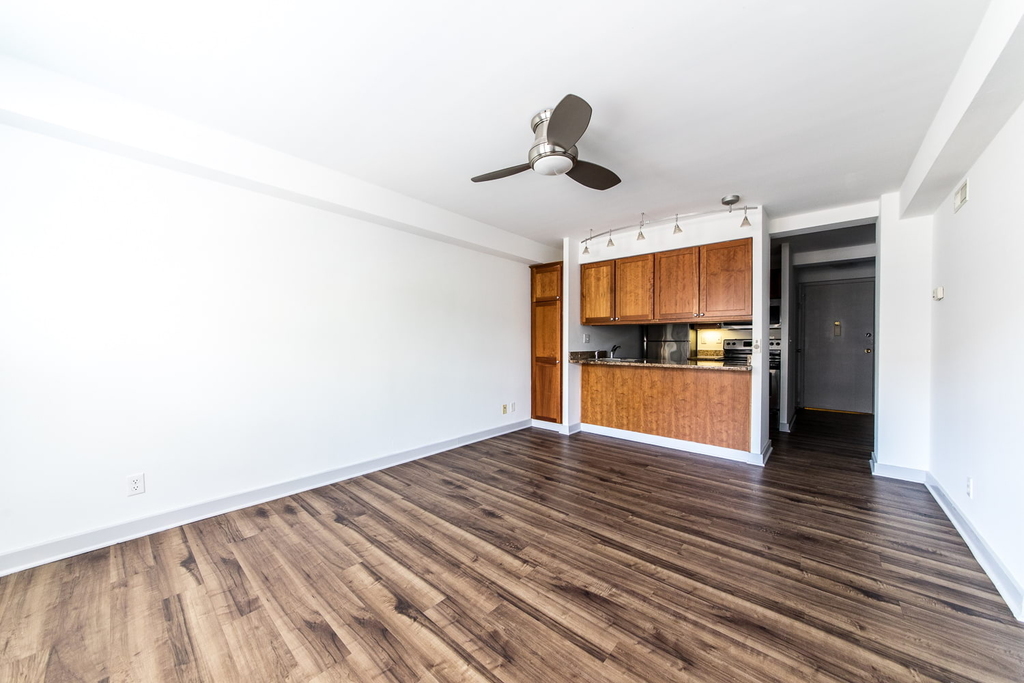 18 South Kingshighway - Photo 211