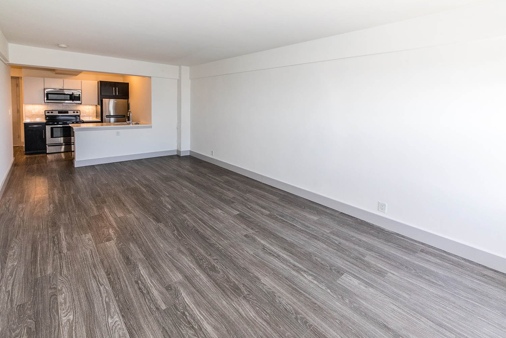 18 South Kingshighway - Photo 308