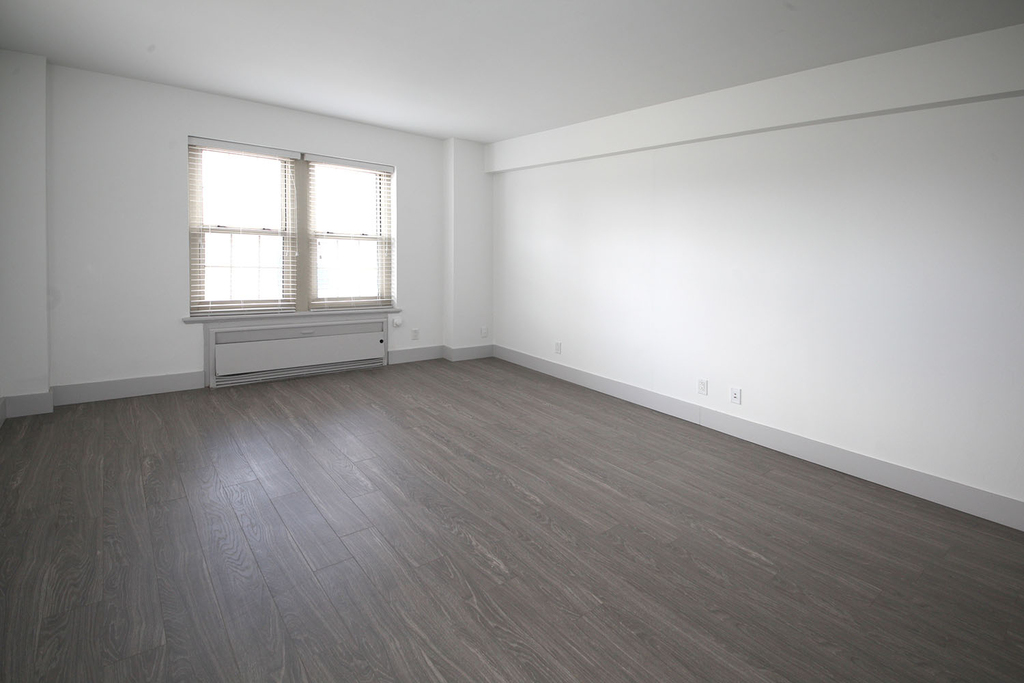 18 South Kingshighway - Photo 336