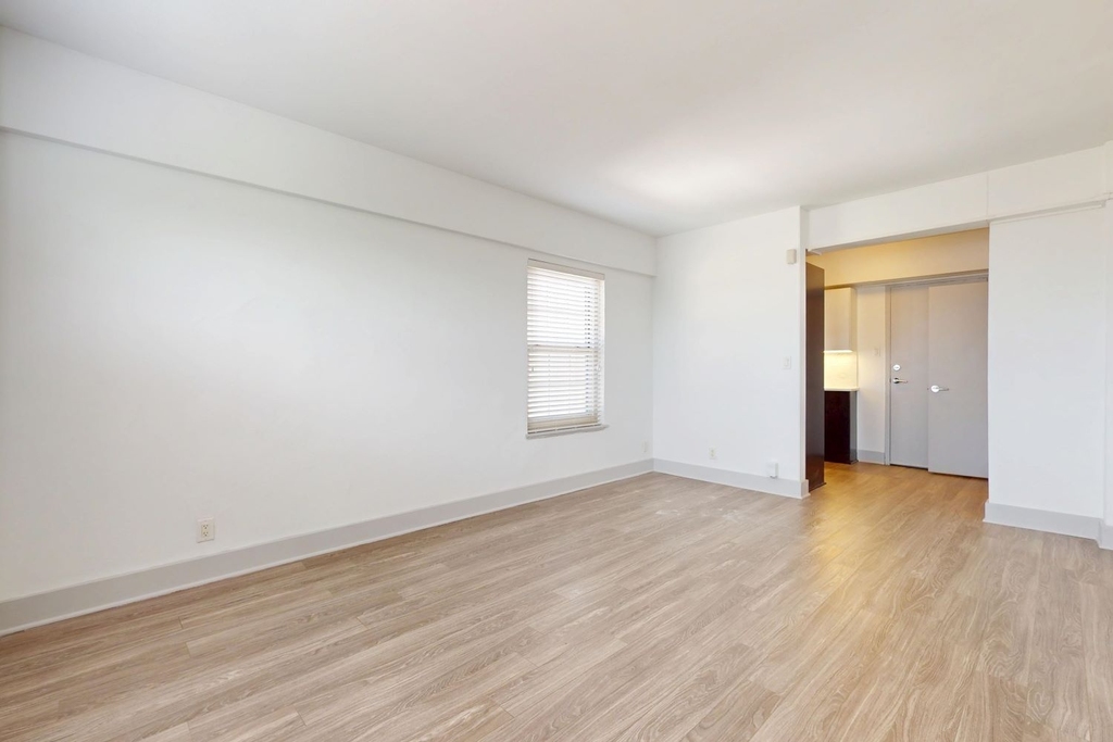 18 South Kingshighway - Photo 256