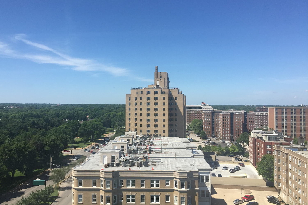 18 South Kingshighway - Photo 110