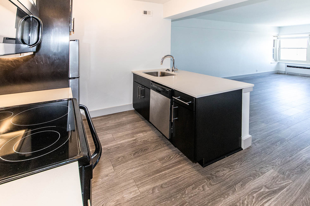 18 South Kingshighway - Photo 309