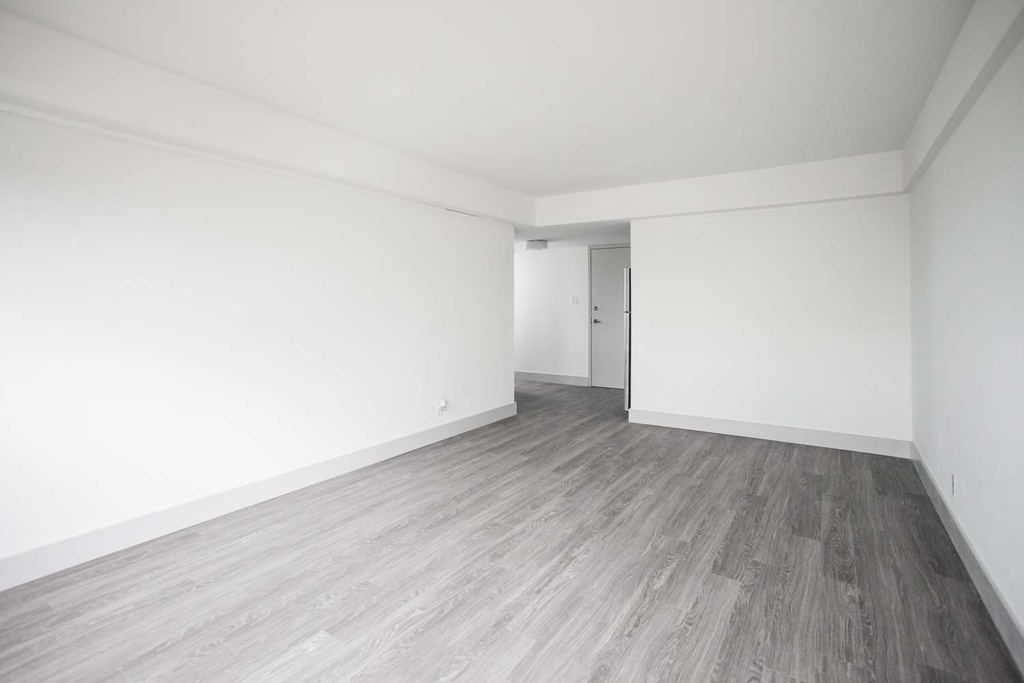 18 South Kingshighway - Photo 315