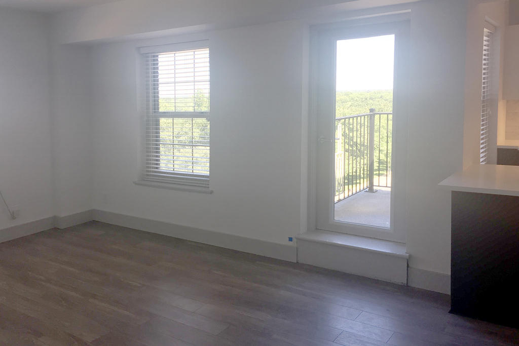 18 South Kingshighway - Photo 298