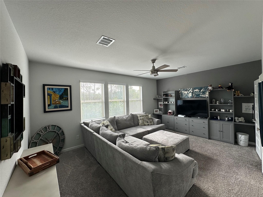 41 Snowdrop Lily Drive - Photo 19