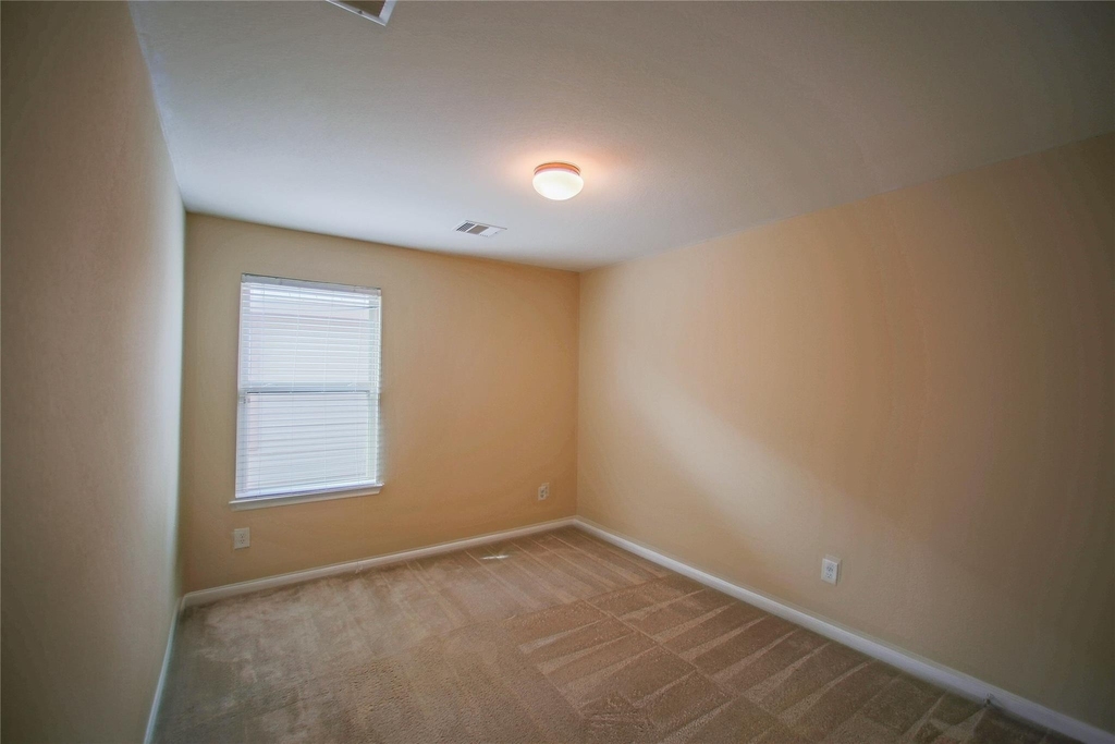 24030 Buffalo Cove Lane - Photo 15