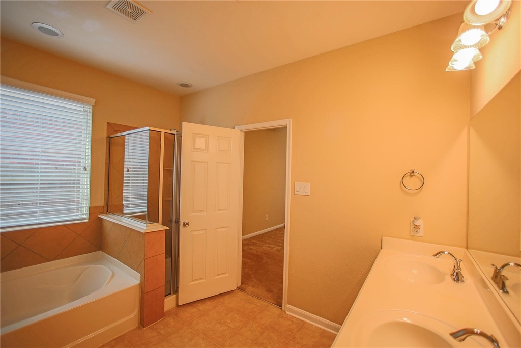 24030 Buffalo Cove Lane - Photo 12