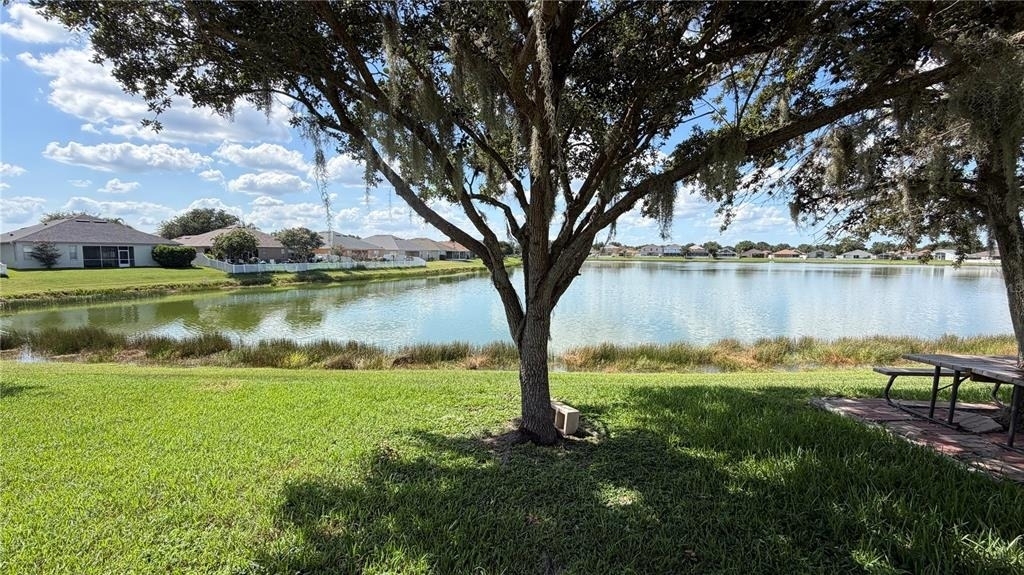 31205 Bridgegate Drive - Photo 36