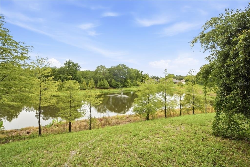 18126 Birdwater Drive - Photo 21