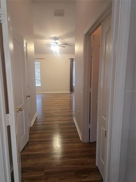 31125 Hannigan Place - Photo 11