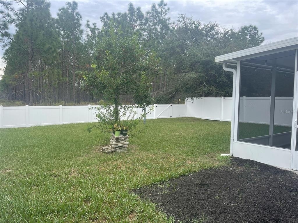 30823 Satinleaf Run - Photo 22