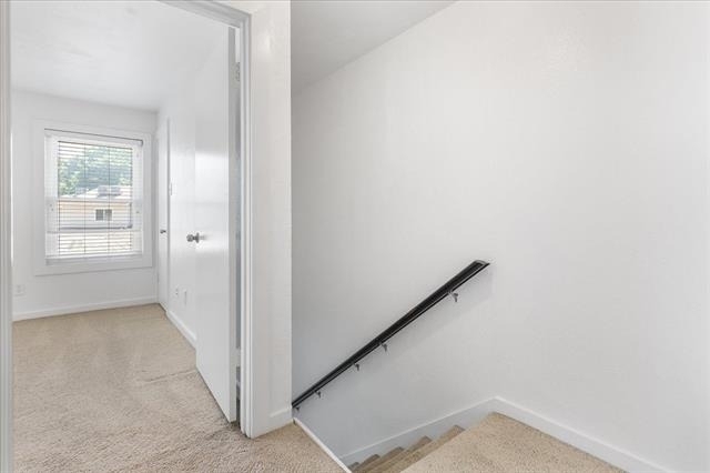 5505 Live Oak Street - Photo 12