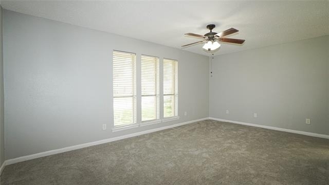 7113 Ridgeview Drive - Photo 13
