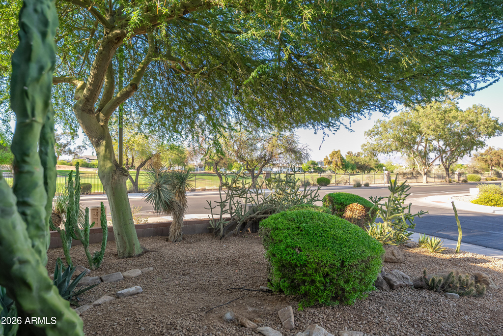 14436 N 67th Place - Photo 3