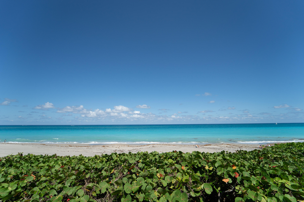 200 Ocean Trail Way - Photo 8