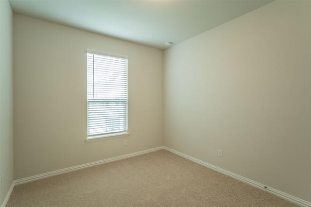 12345 Hulson Trail - Photo 6