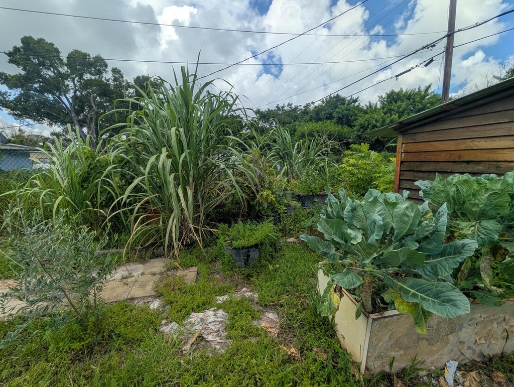 625 Coconut Avenue N - Photo 38