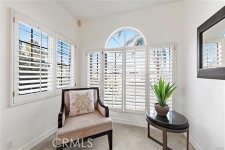 322 Jasmine Avenue - Photo 7