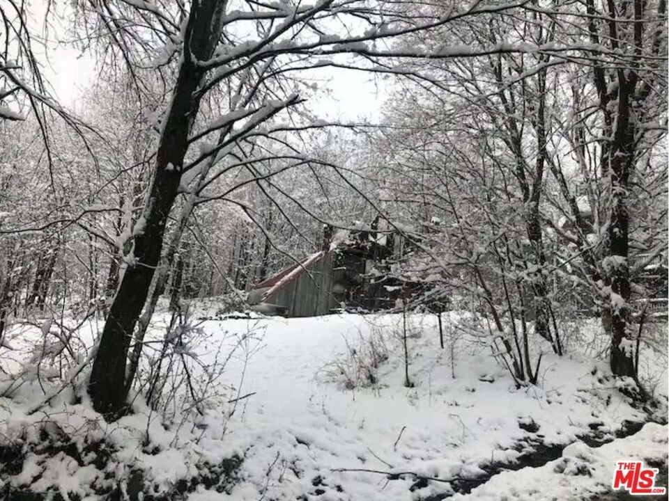 481 Prickly Mountain Rd - Photo 3