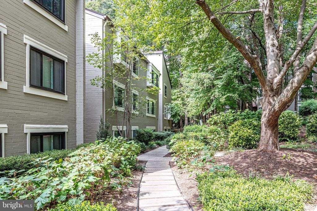 2210 Springwood Drive - Photo 2